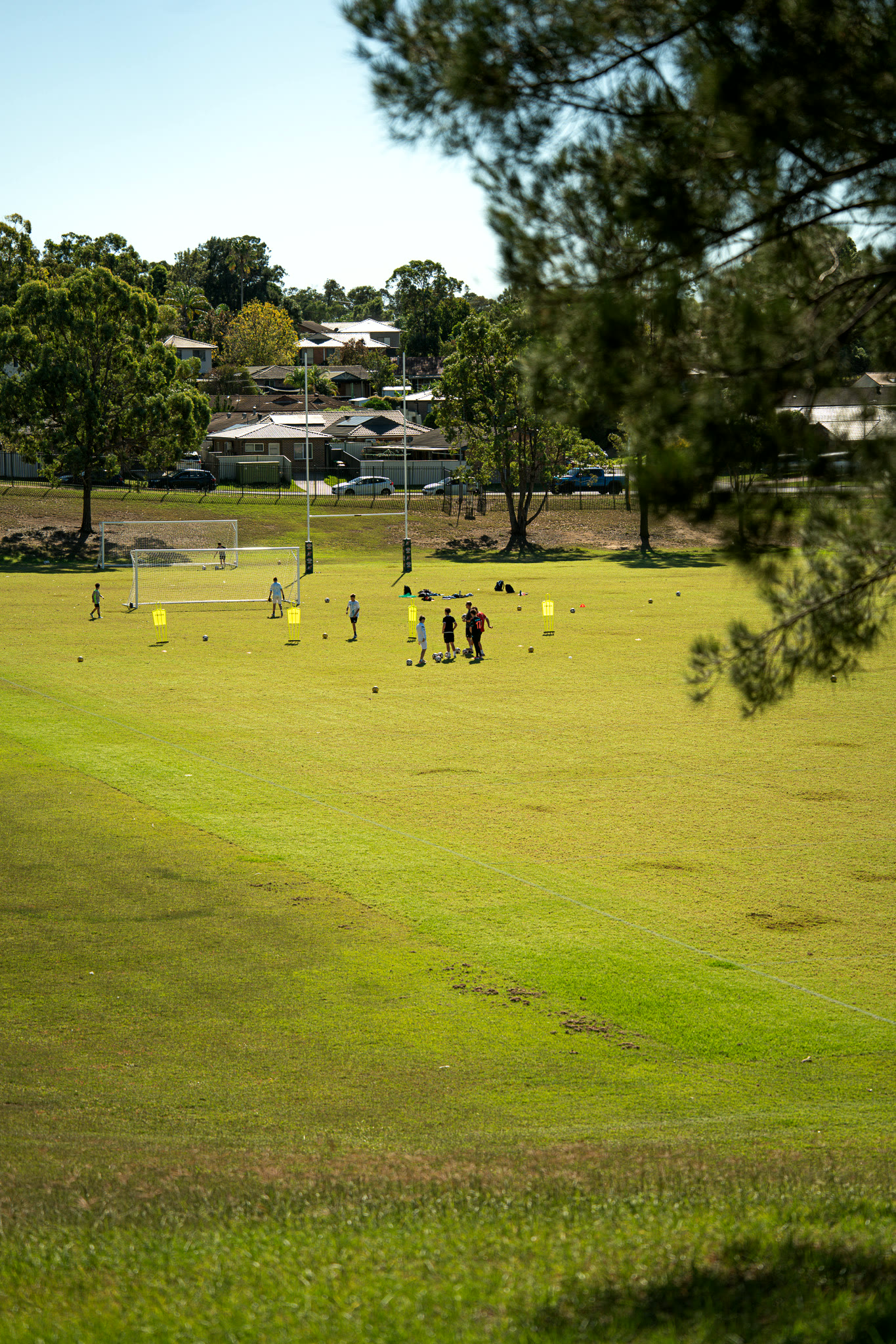 The Gamechanger training pitch, framed through trees.